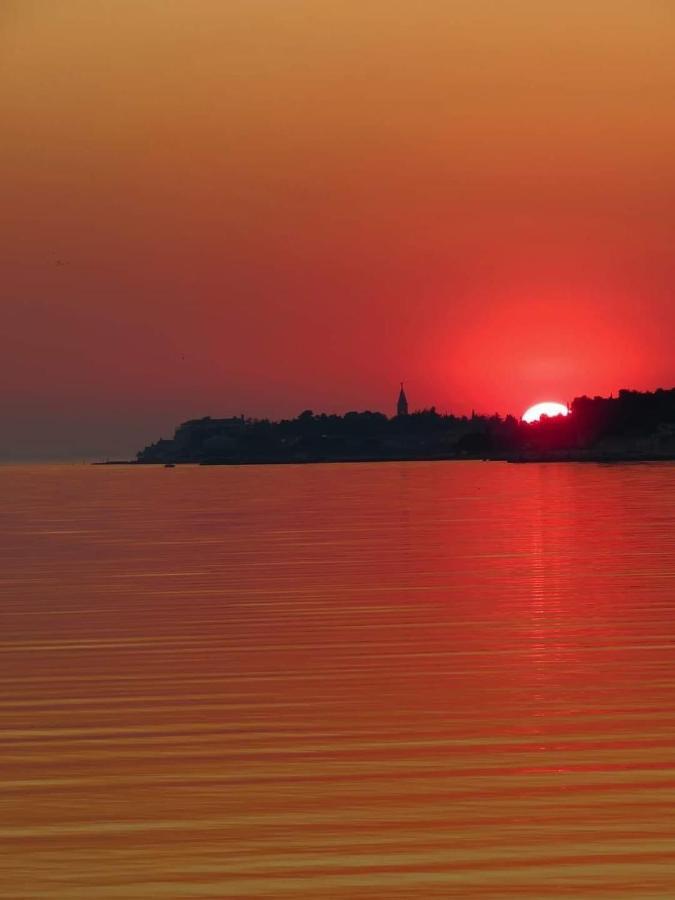 Apartments Roberta Novigrad Istria 外观 照片