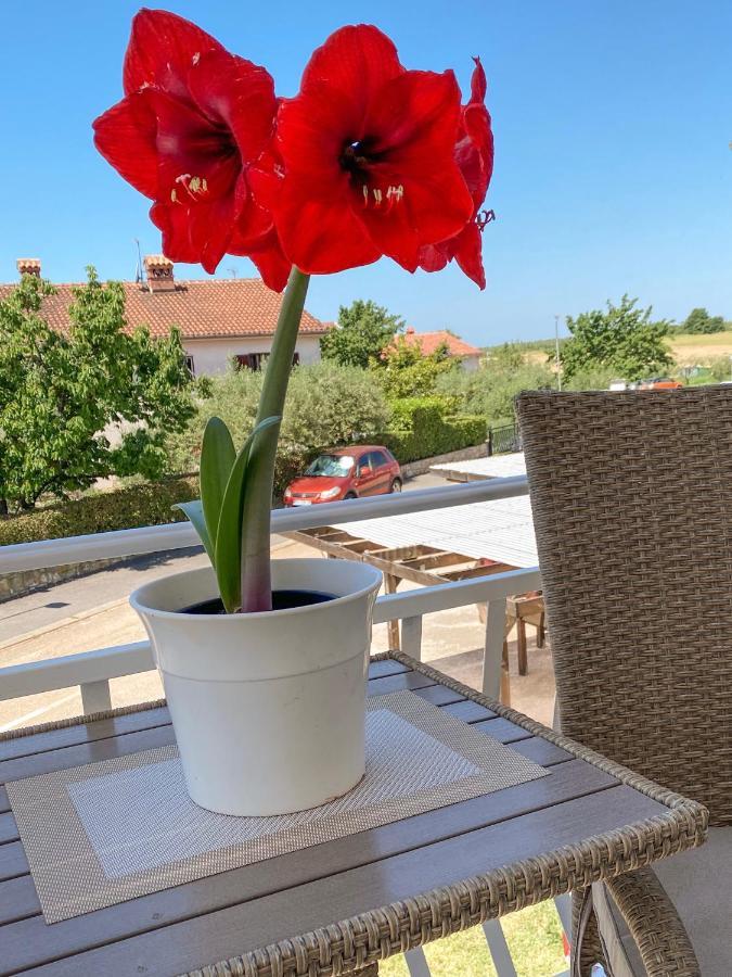 Apartments Roberta Novigrad Istria 外观 照片