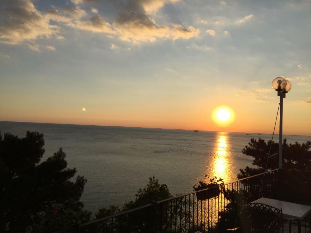 Apartments Roberta Novigrad Istria 外观 照片
