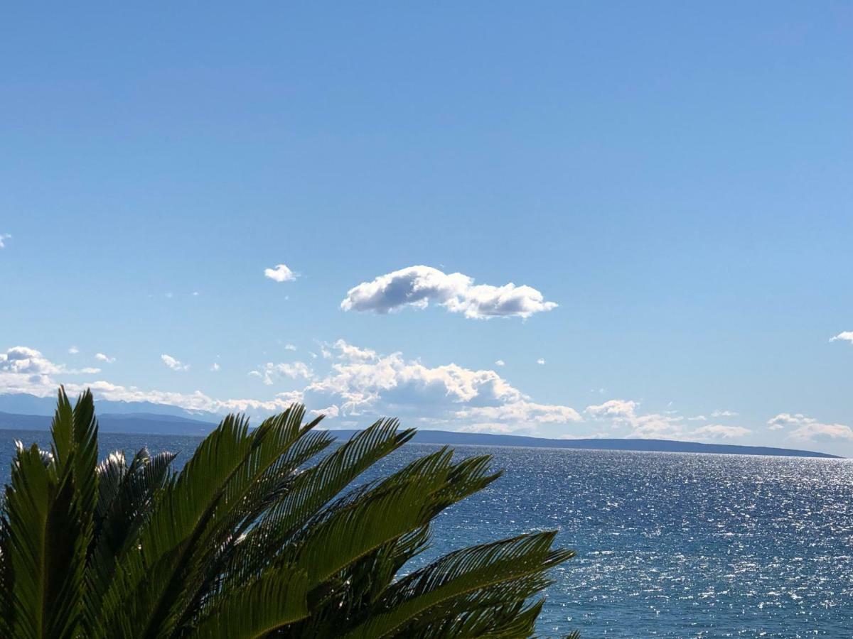 Apartments Roberta Novigrad Istria 外观 照片