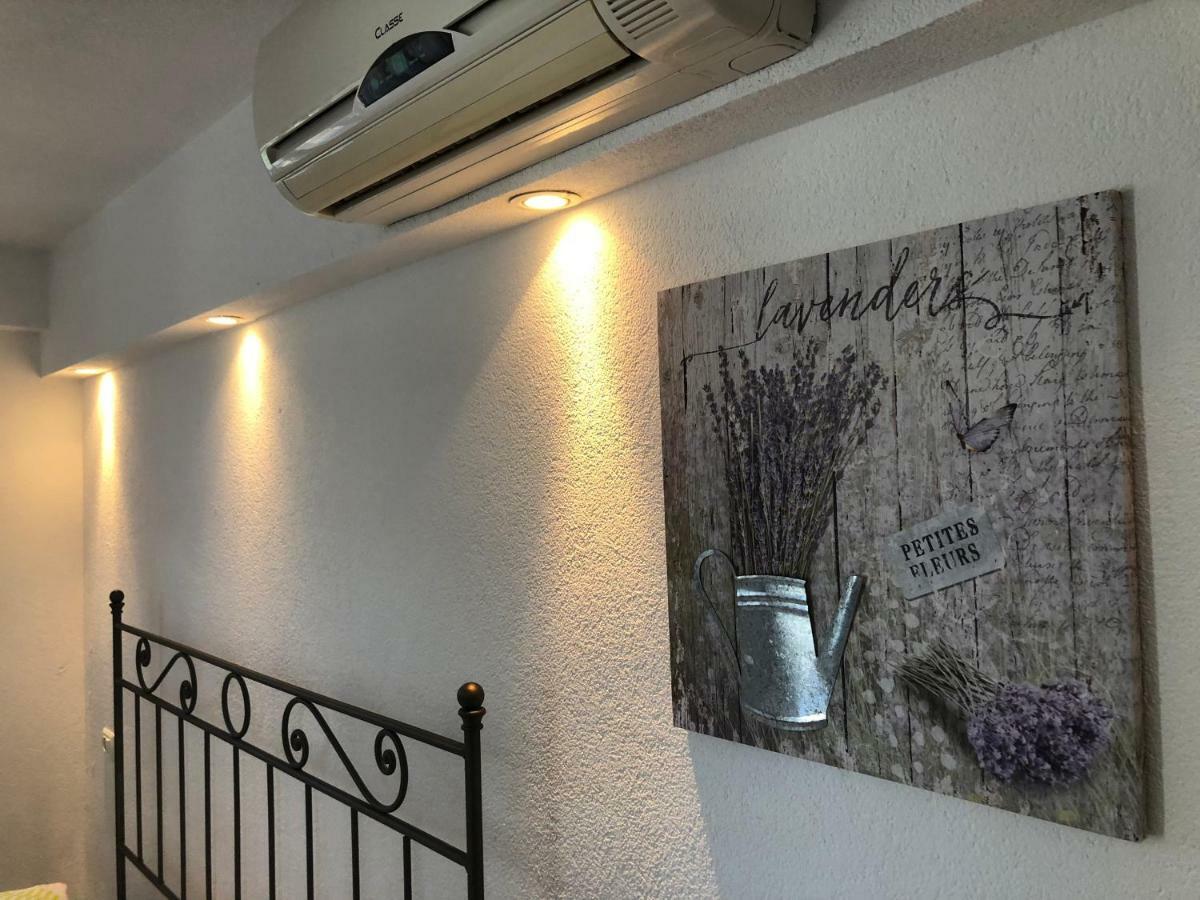 Apartments Roberta Novigrad Istria 外观 照片